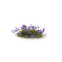 Purple Flower Tufts