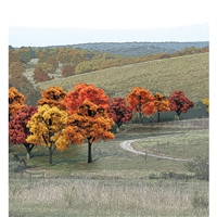 ¾"-2" Ready Made Fall Colours Deciduous Value Pack (38/Pk)