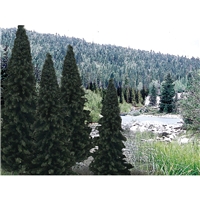 4"-6" Ready Made Evergreen Value Pack (13/Pk)