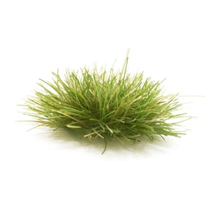 Medium Green Grass Tufts