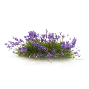 Violet Flowering Tufts