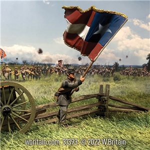 Confederate 5th Texas "Lone Star" Flagbearer