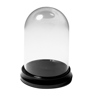 3"Glass Display Dome & Base