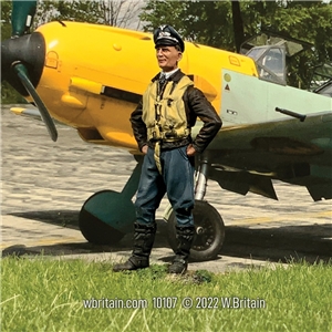 Luftwaffe Fighter Pilot, 1939-45