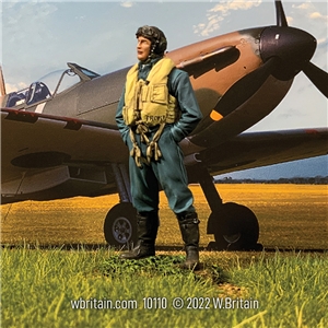 RAF Fighter Pilot, 1940-45