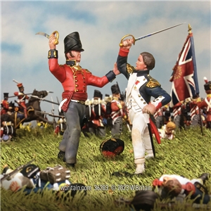 "A Desperate Struggle" French Imperial Guard & British 1st Foot Guard