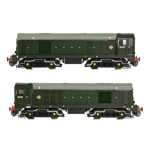 Class 20/0 Disc Headcode & Tablet Catcher D8102 BR Green (Roundel)