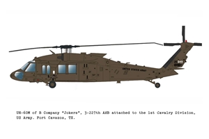 US Army UH-60M Back Hawk Utility Helicopter
