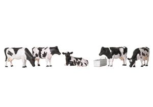 Cows