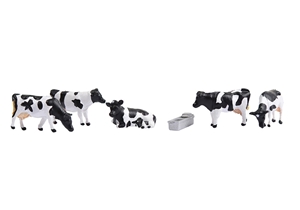 Cows