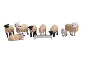Sheep