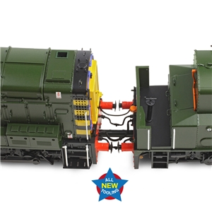 Class 13 D4502 BR Green (Wasp Stripes)