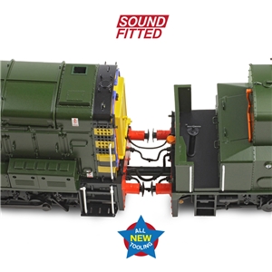 Class 13 D4502 BR Green (Wasp Stripes)