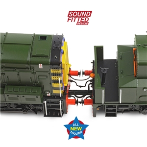 Class 13 D4502 BR Green (Wasp Stripes)