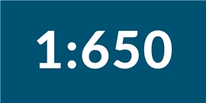 1:650 Scale