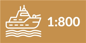 1:800 Scale