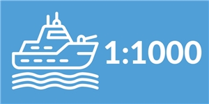 1:1000 Scale