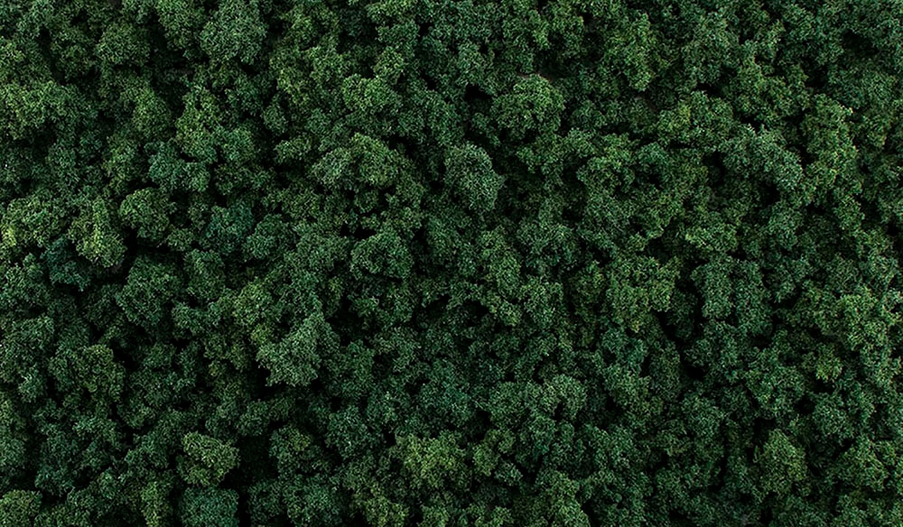 Dark Green Foliage Clumps