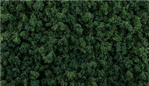 Dark Green Foliage Clumps