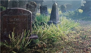 4 mm Medium Green Static Grass