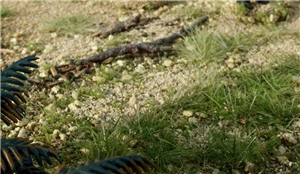 Static Grass Shaker Kit