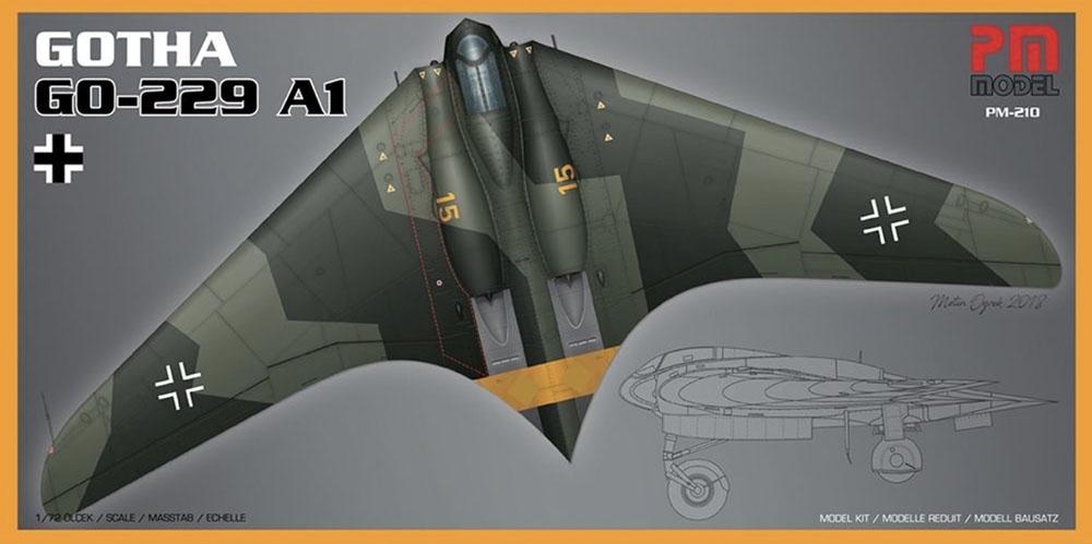 German Air Force Gotha Go-229 A1 Experimental Aircraft