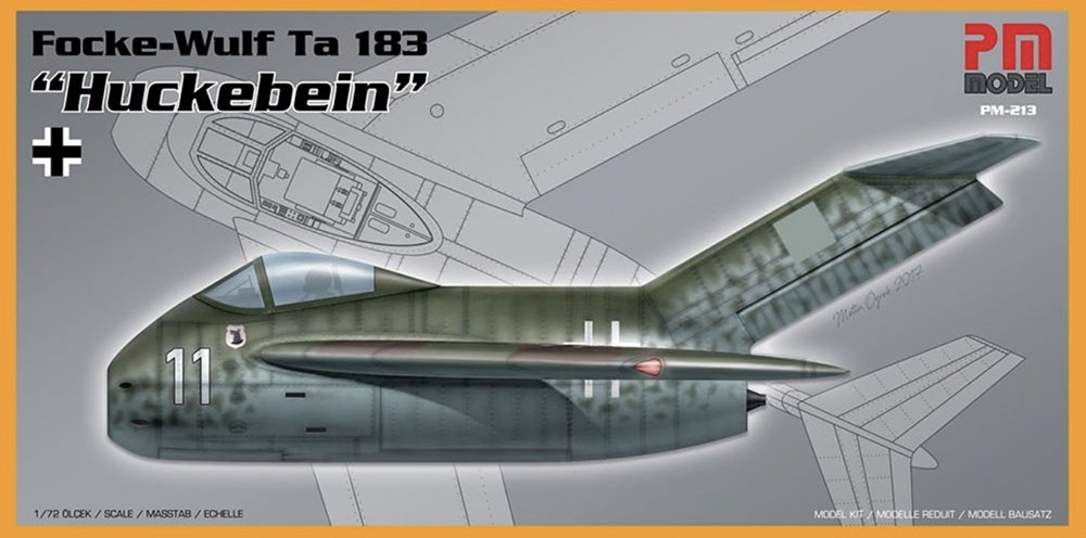 German Focke Wulf Ta-183 Huckebein Prototype Fighter Aircraft