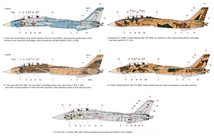 Iran Air Force F-14A "IRIAF" Fighter Aircraft
