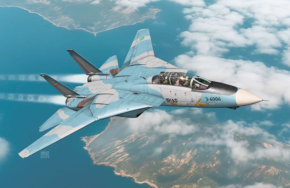 Bachmann Europe Plc Iran Air Force F 14A IRIAF Fighter Aircraft
