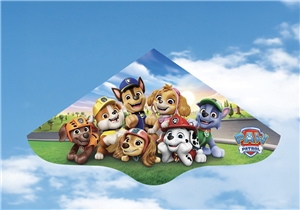 Paw Patrol Adventure Kite
