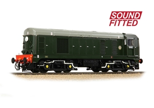 Class 20/0 Disc Headcode & Tablet Catcher D8102 BR Green (Roundel)