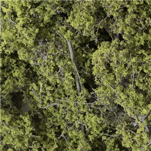 Foliage, Grass, Flock and Polyfibre