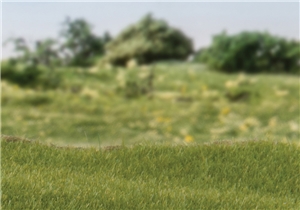 2mm Static Grass Dark Green