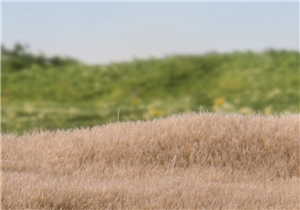 2mm Static Grass Straw