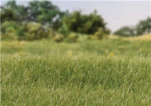 4mm Static Grass Medium Green