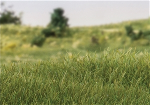 7mm Static Grass Dark Green