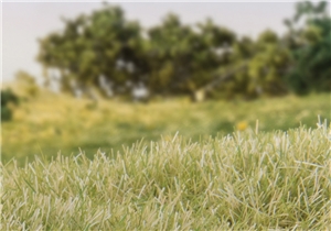7mm Static Grass Light Green