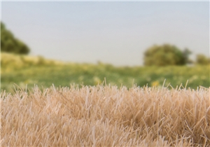 7mm Static Grass Straw
