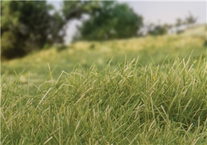 12mm Static Grass Medium Green