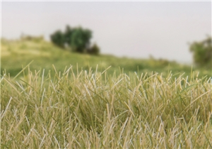 12mm Static Grass Light Green