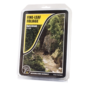 Dark Green Fine Leaf Foliage