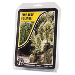 Light Green Fine Leaf Foliage