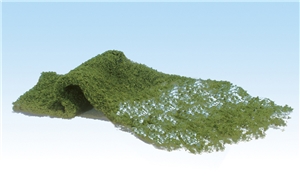 Light Green Foliage