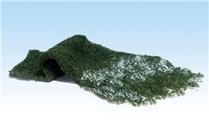 Dark Green Foliage