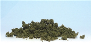 Olive Green Underbrush