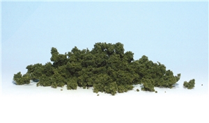 Light Green Underbrush