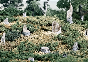 Cut Stumps (x14)