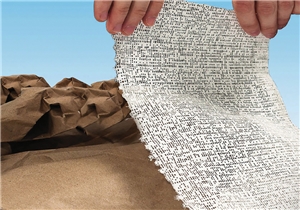 Plaster Cloth Triple Roll