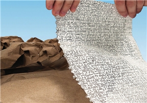 Plaster Cloth Sheets (x30)