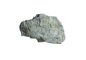 Rock Mass Rock Mould (5"x7")